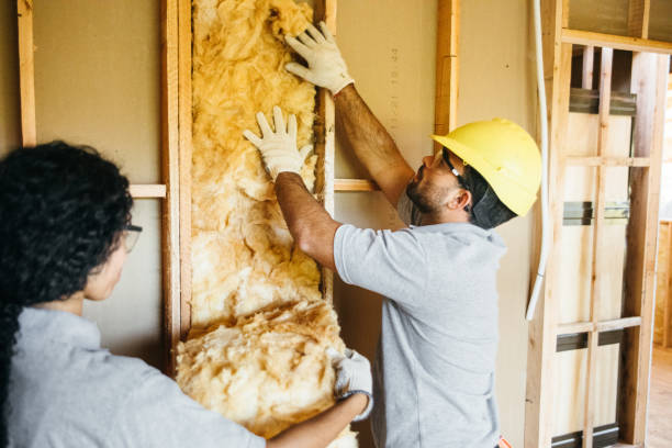 Best Local Insulation Services  in Fraser, CO
